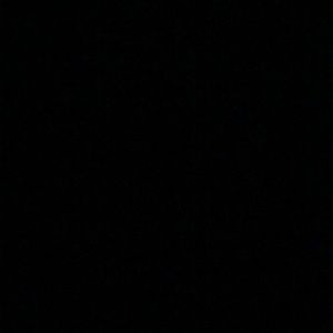 Meet your Posher, Mollie